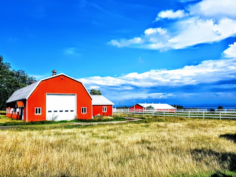 Steel Barn